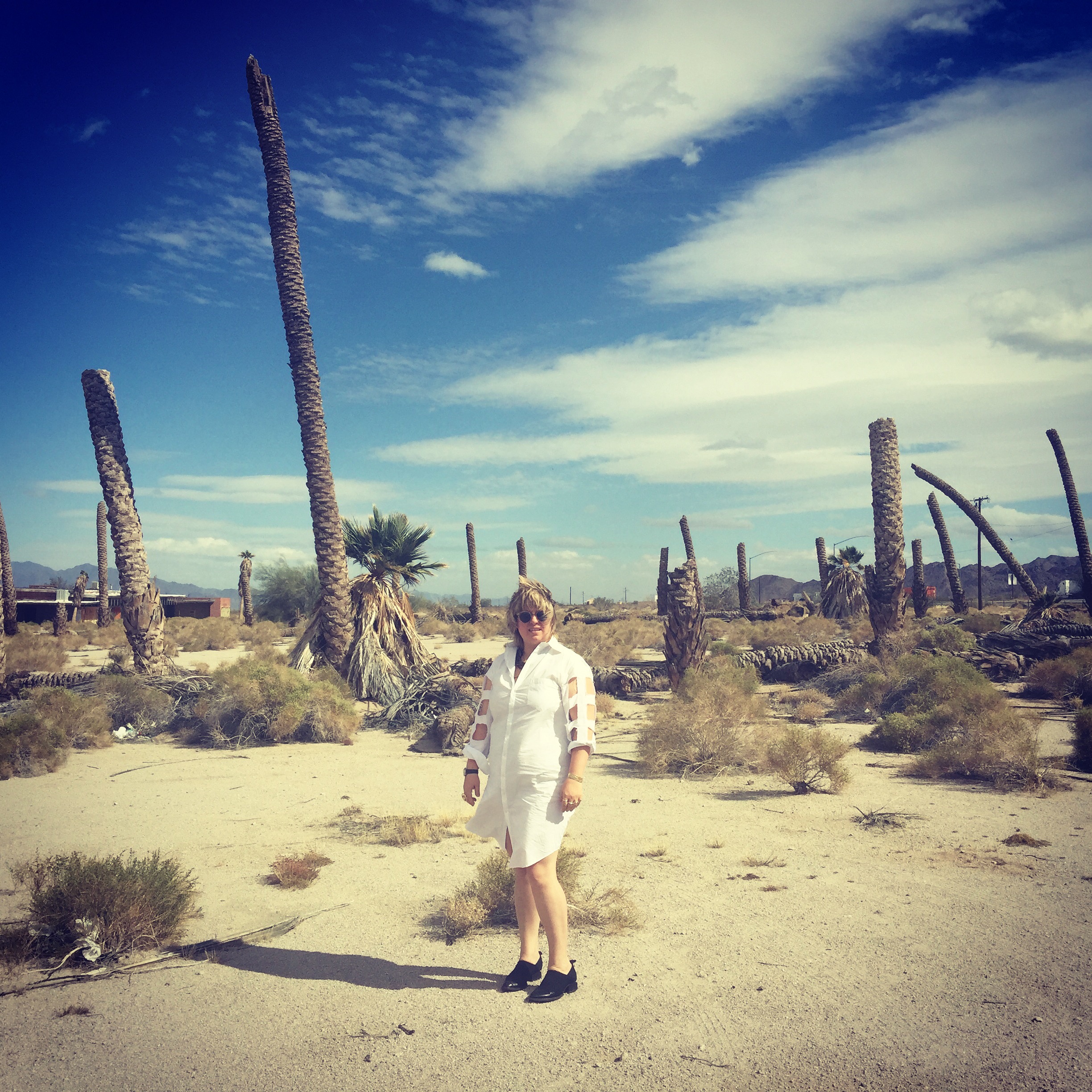 Zoe Crosher, Palm Frond Circle, Desert Center, CA