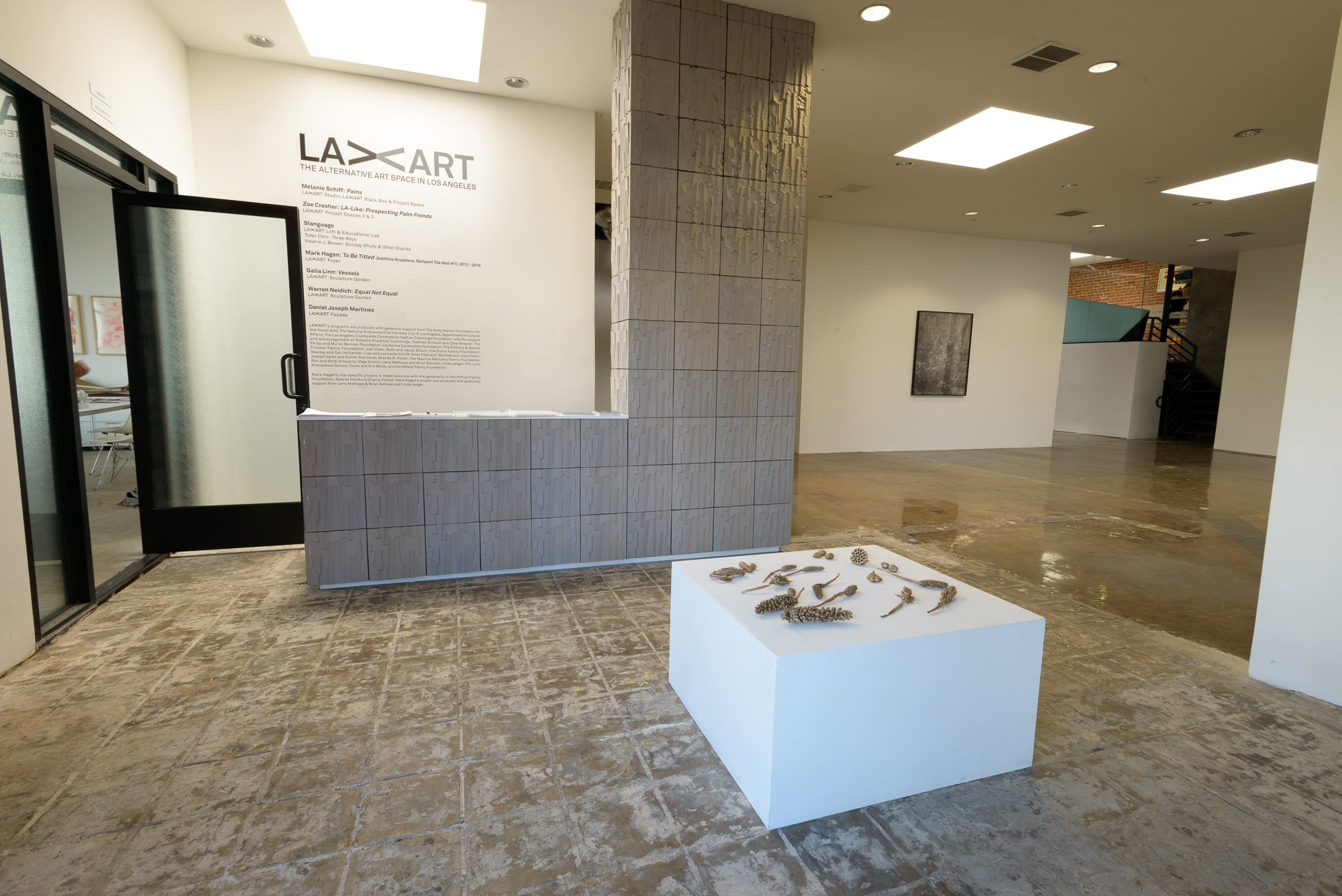 Installation view, LA-LIKE: Prospecting Palm Fronds, LAXART, Los Angeles, CA, September 2015