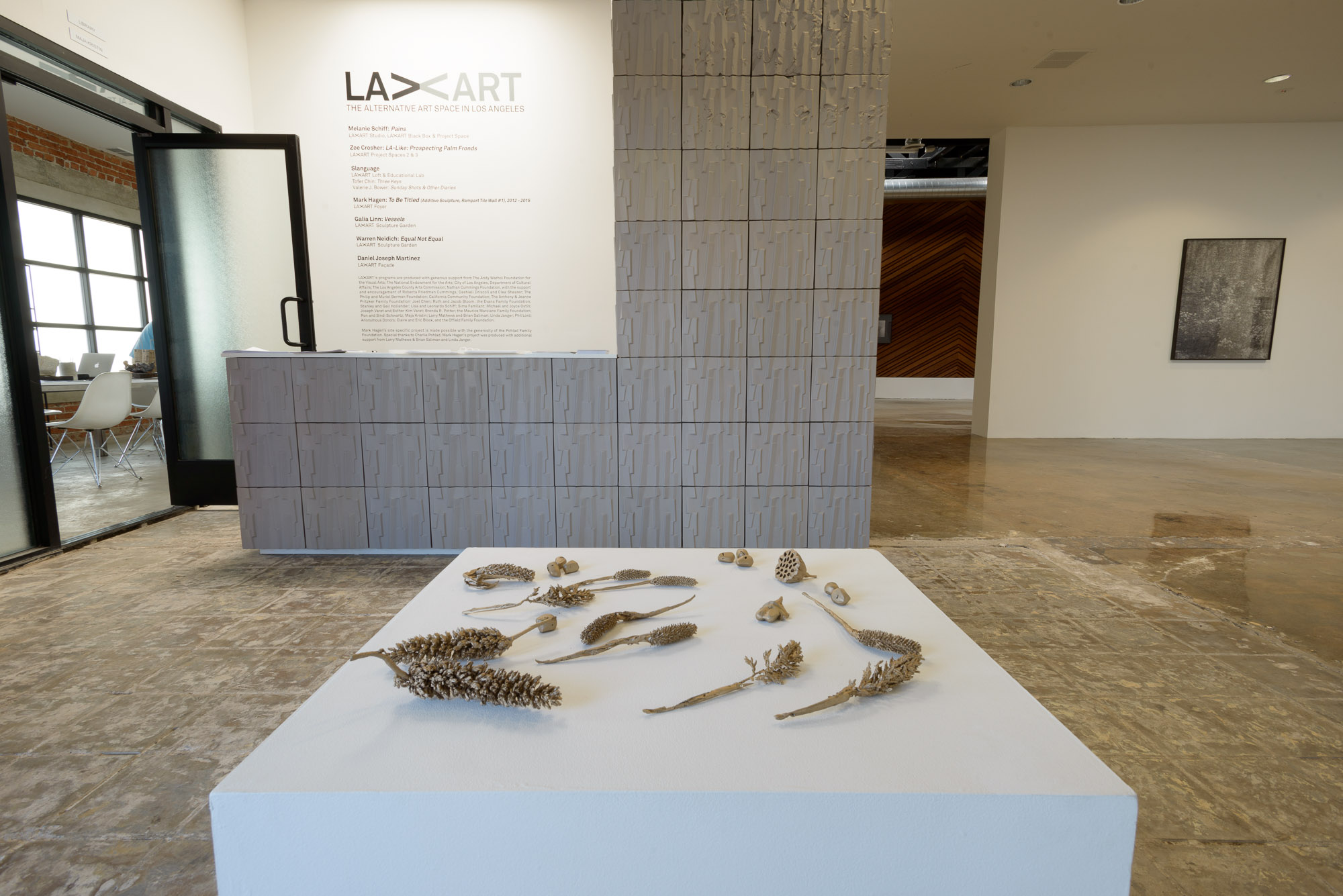 Installation view, LA-LIKE: Prospecting Palm Fronds, LAXART, Los Angeles, CA, September 2015