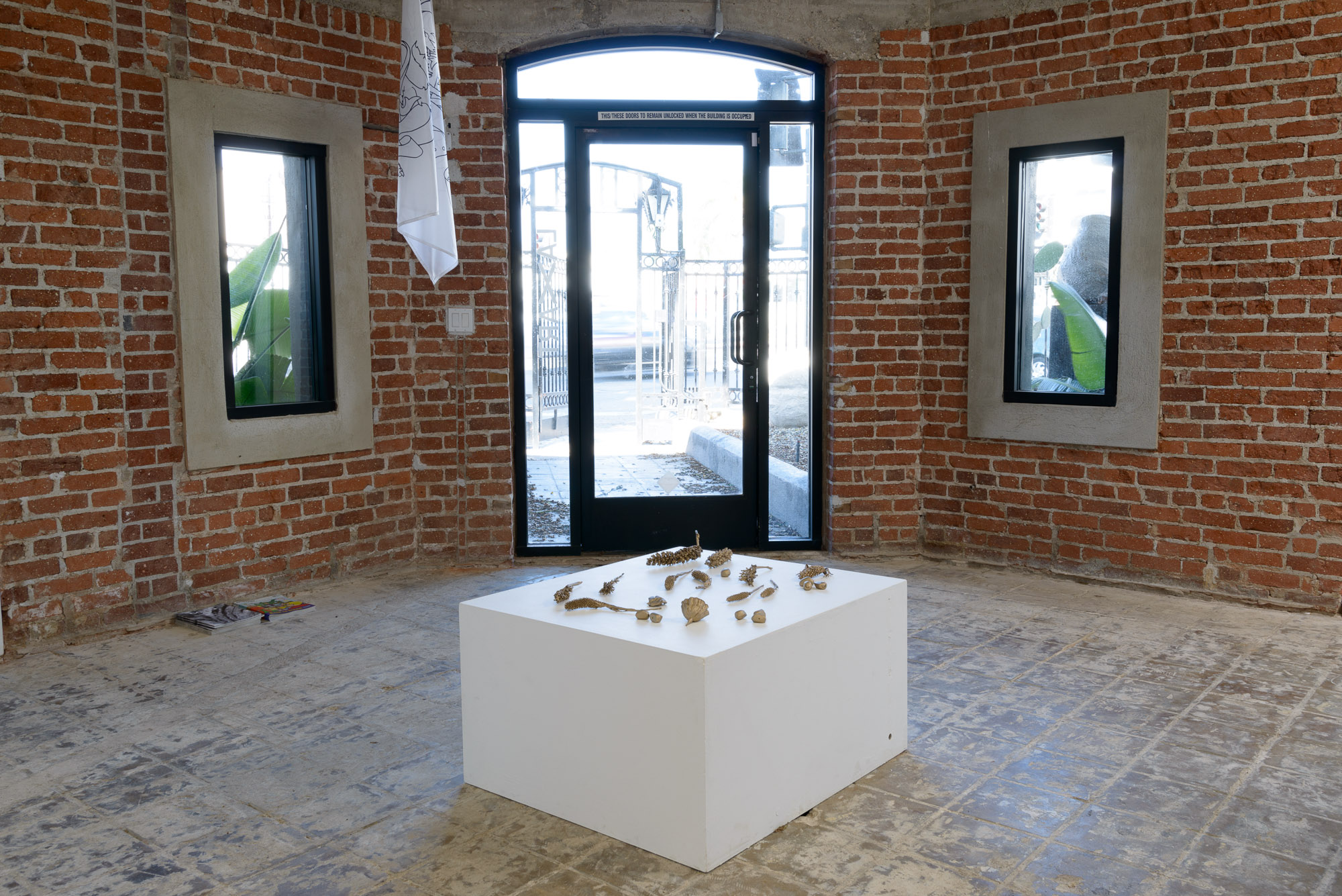 Installation view, LA-LIKE: Prospecting Palm Fronds, LAXART, Los Angeles, CA, September 2015