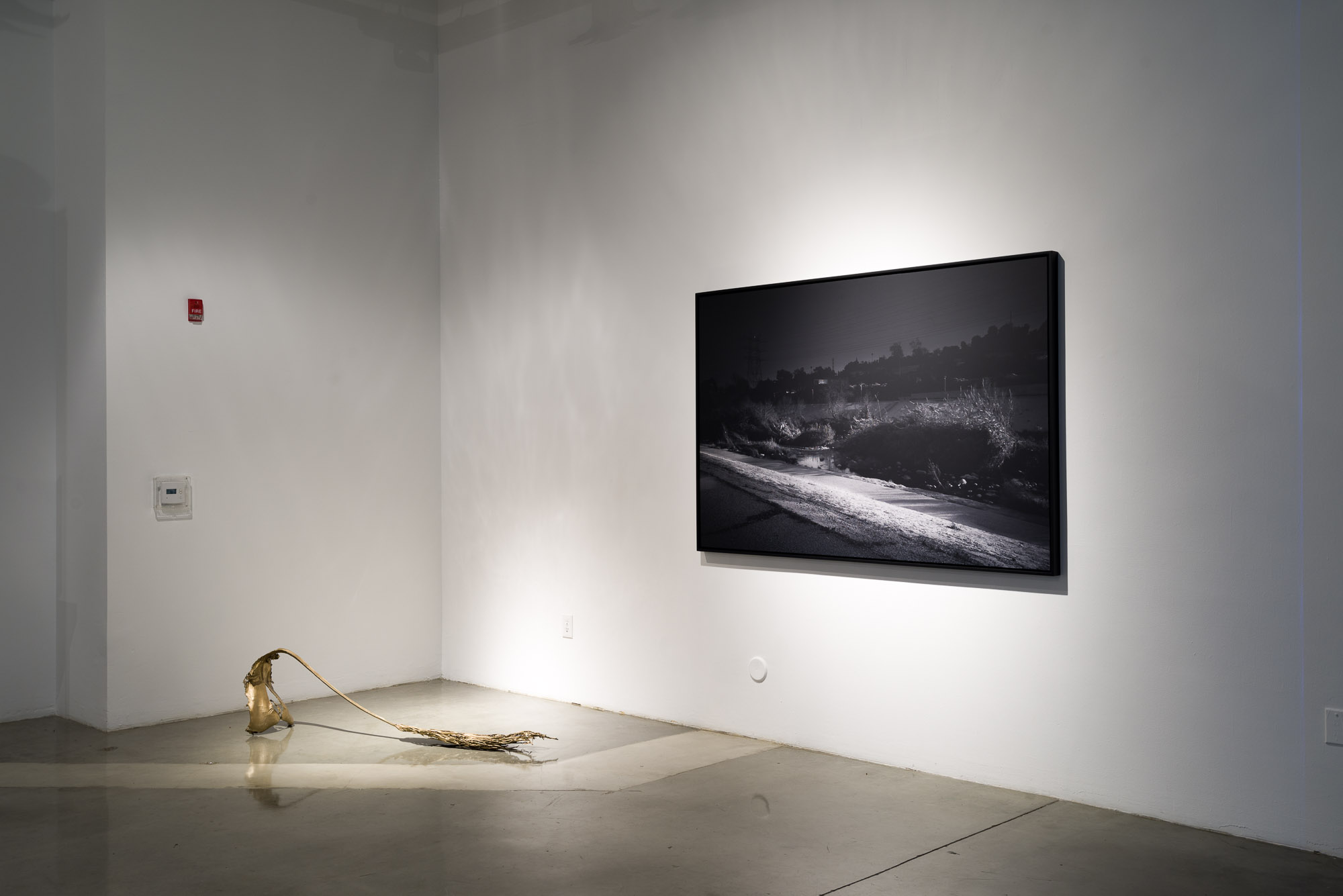 Installation view, Staging Los Angeles: Reality, Fantasy, and the Space Between, USC Roski School of Art and Design, Los Angeles, CA, November 2015