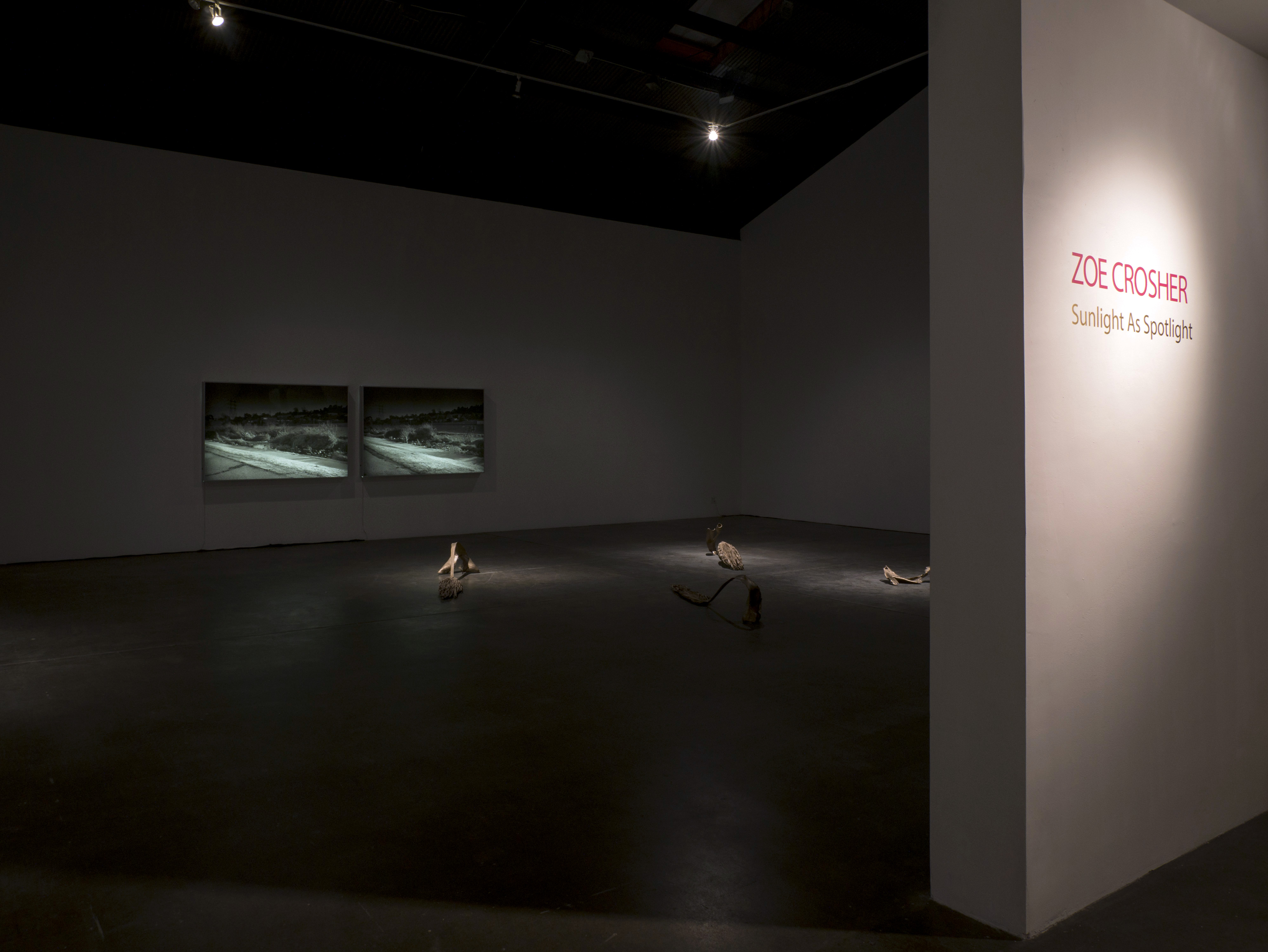 Installation View, Sunlight As Spotlight