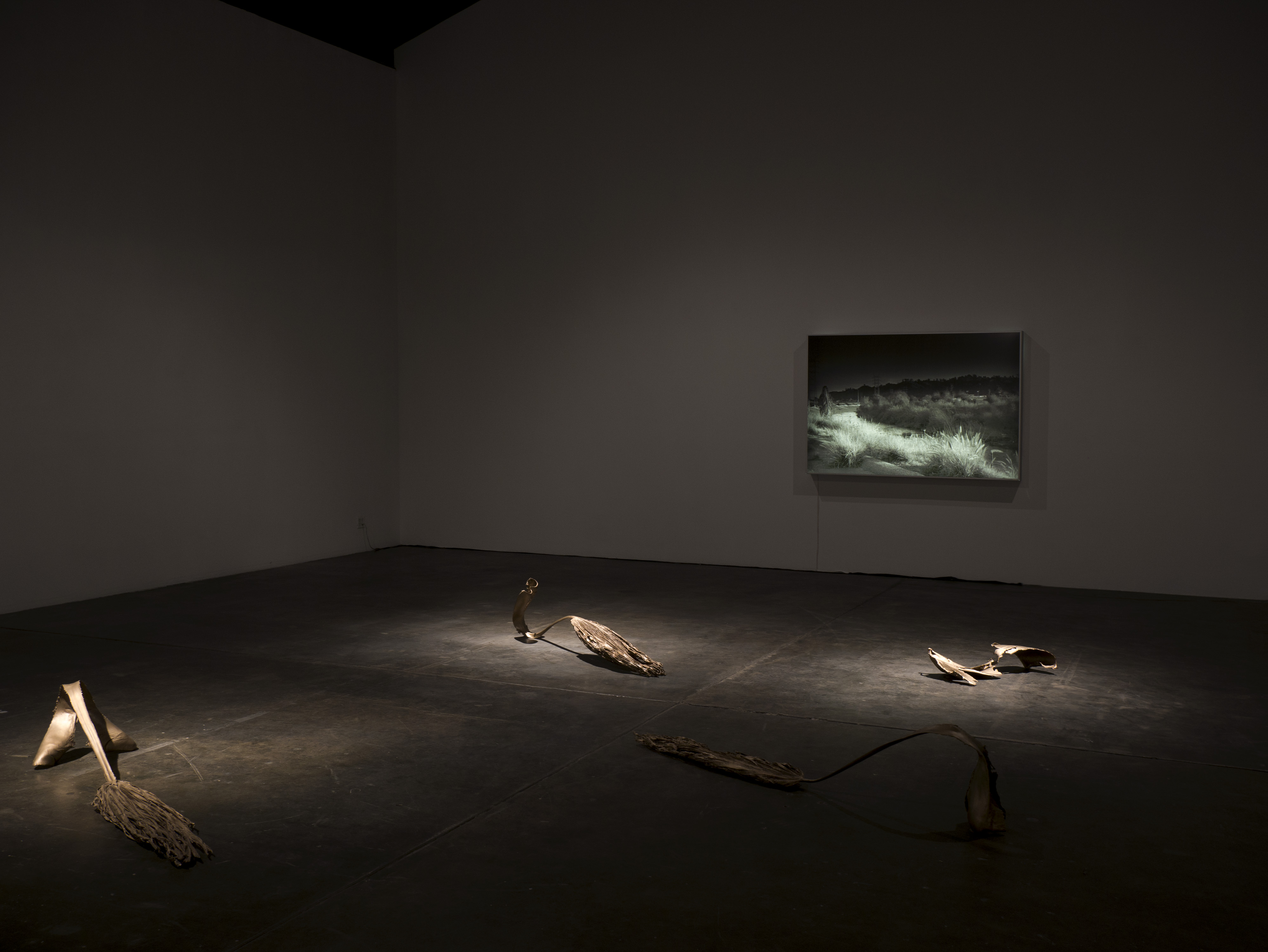 Installation View, Sunlight As Spotlight