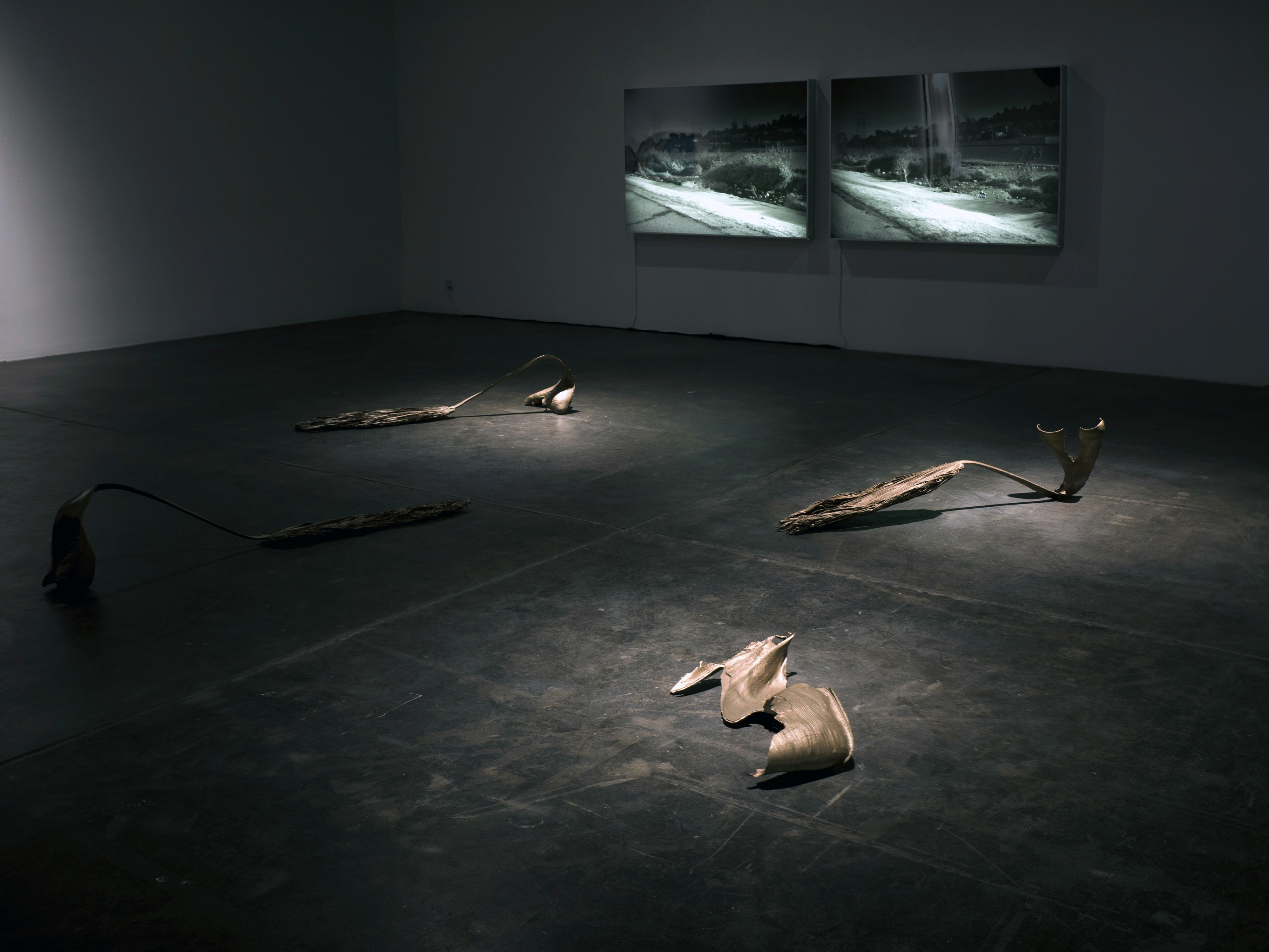 Installation View, Sunlight As Spotlight