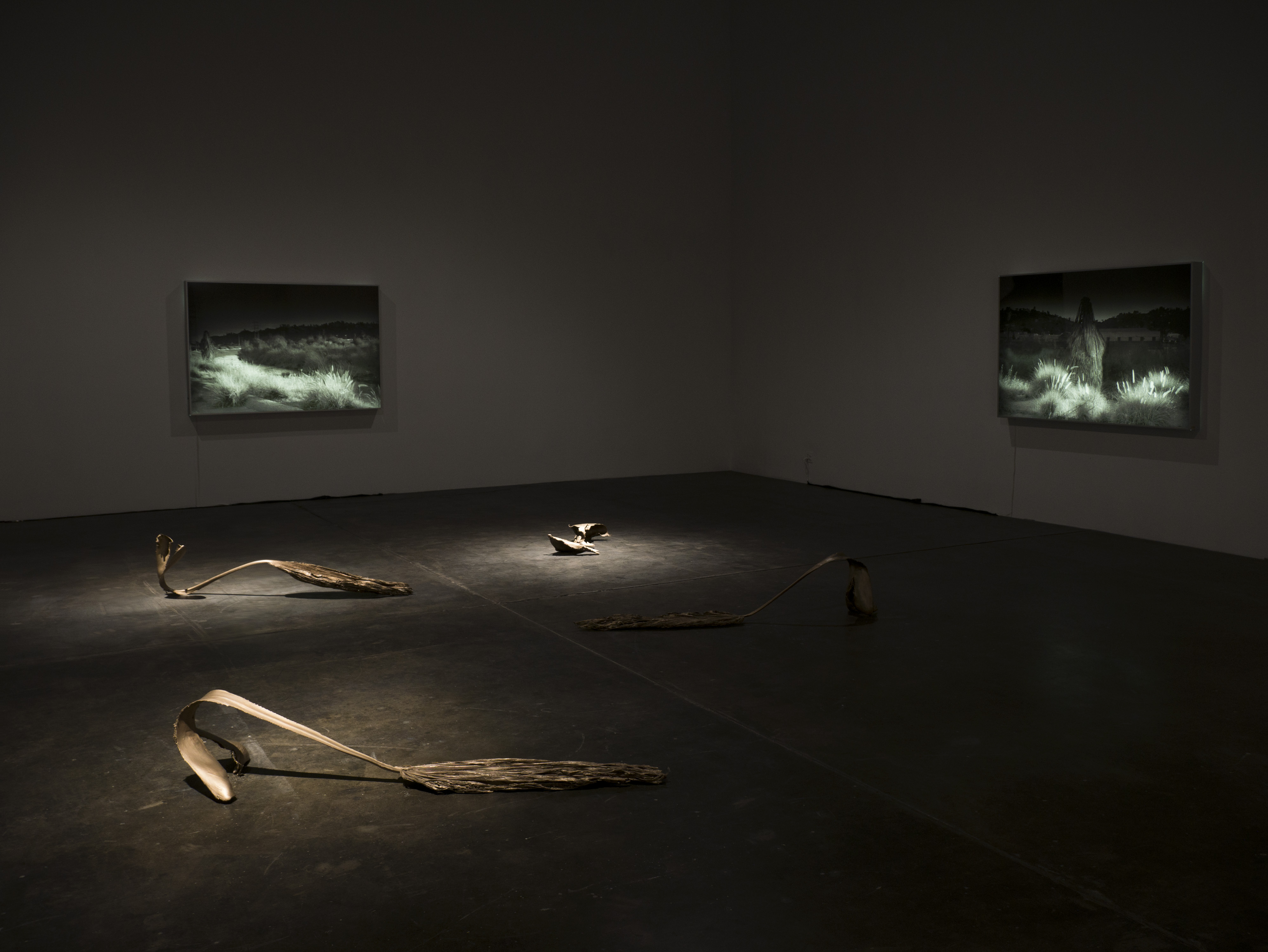 Installation View, Sunlight As Spotlight