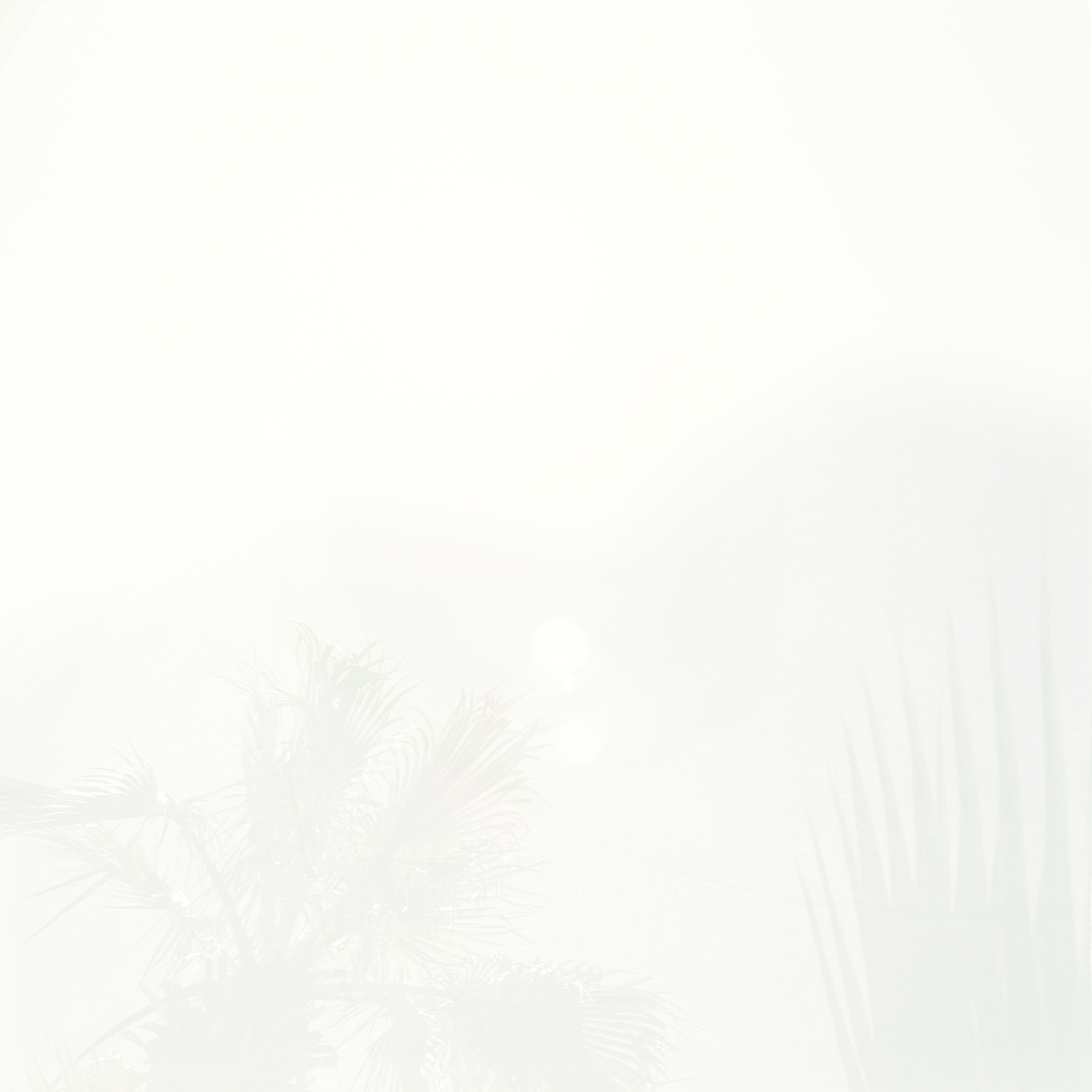 sun3_crop_FNL.jpg