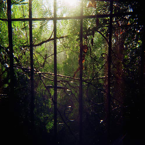 LA Jungle-Like (2004)
